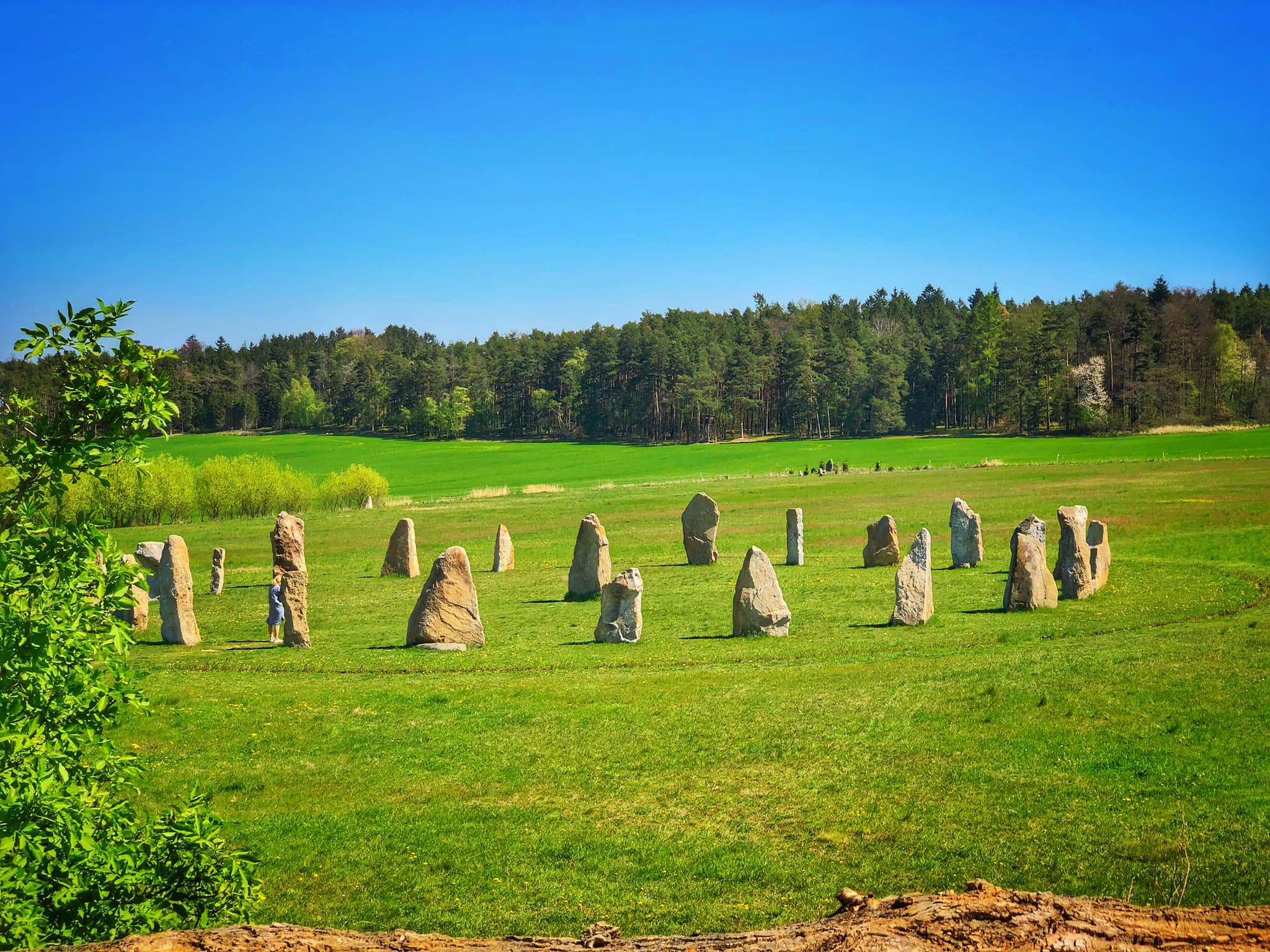 Honíte se za svým ocasem?