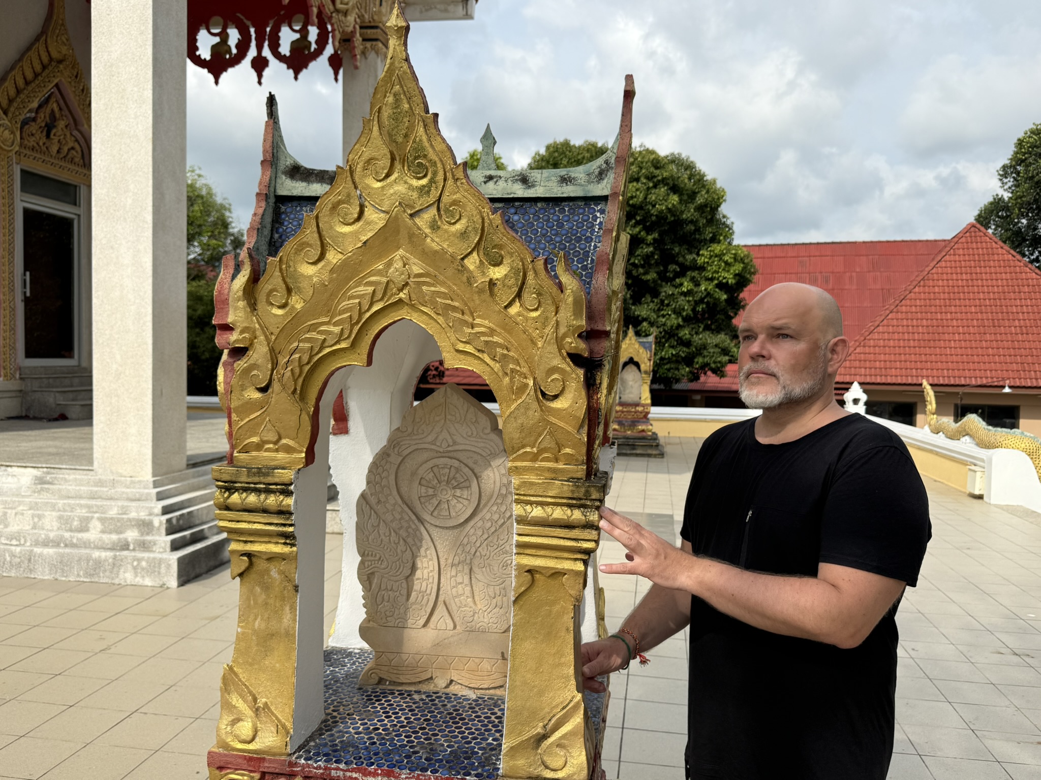 Kurz Kvantová Hojnost